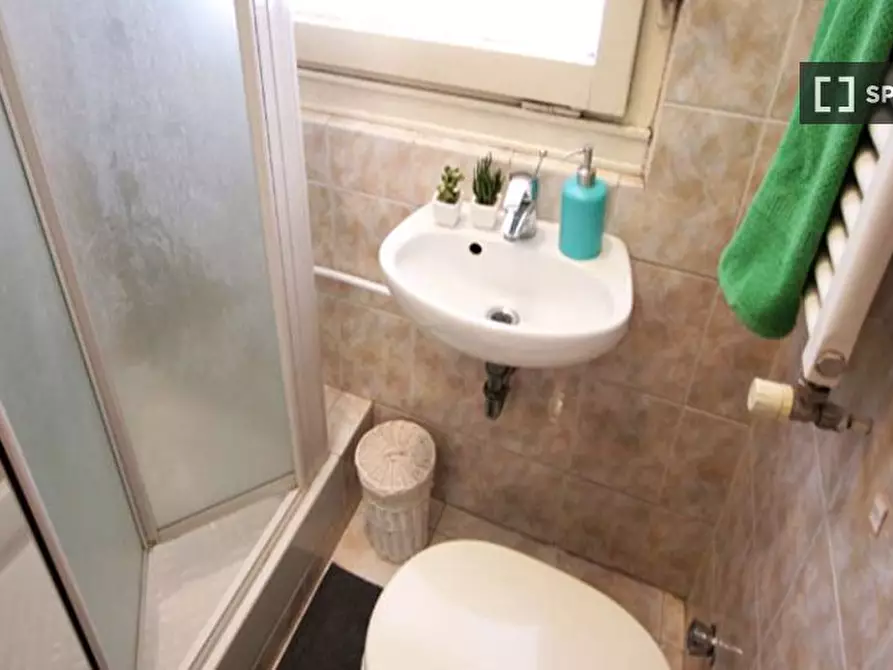 Immagine 11 di Camera condivisa in affitto  in Via Pisacane a Milano