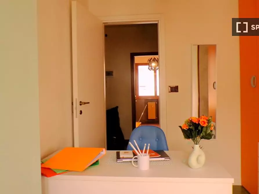 Immagine 18 di Camera condivisa in affitto  in Rodolfo Mondolfo a Bologna