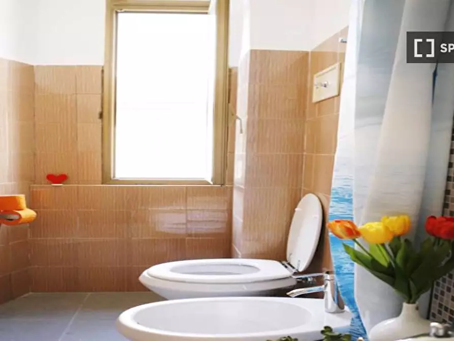 Immagine 13 di Camera condivisa in affitto  in Via Eustachi a Milano