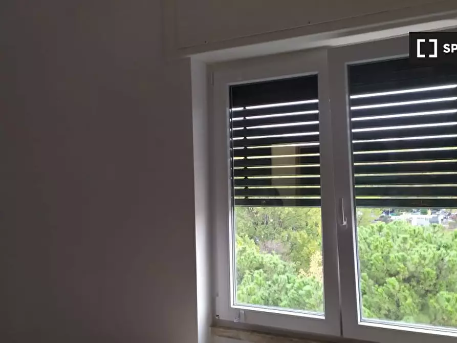 Immagine 2 di Camera condivisa in affitto  in Viale Giustiniano Imperatore a Roma