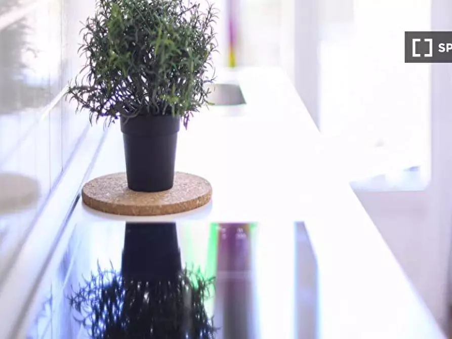 Immagine 7 di Camera condivisa in affitto  in Via Felice Casati a Milano