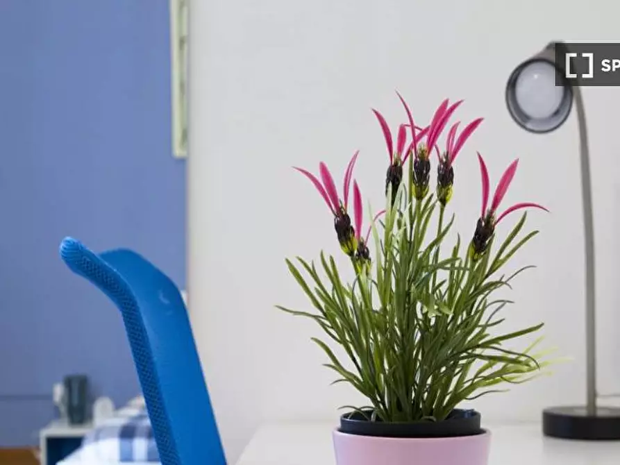 Immagine 4 di Camera condivisa in affitto  in Via Gustavo Modena a Milano