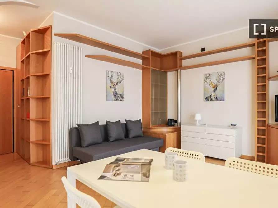 Immagine 8 di Appartamento in affitto  in Via dei Tulipani a Milano