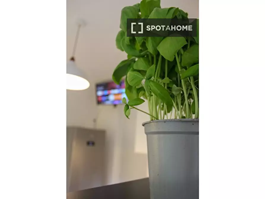 Immagine 19 di Camera condivisa in affitto  in Via Privata Paternò a Milano