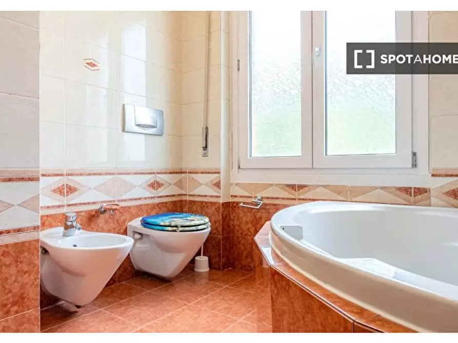 Immagine 19 di Camera condivisa in affitto  in Via Alessandro Litta Modignani a Milano