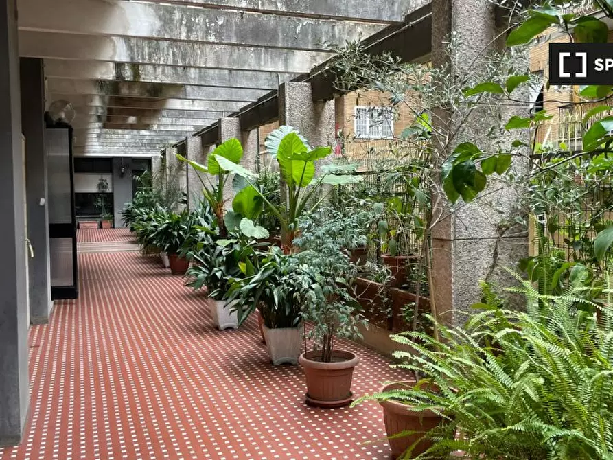 Immagine 14 di Appartamento in affitto  in Viale Marco Fulvio Nobiliore a Roma