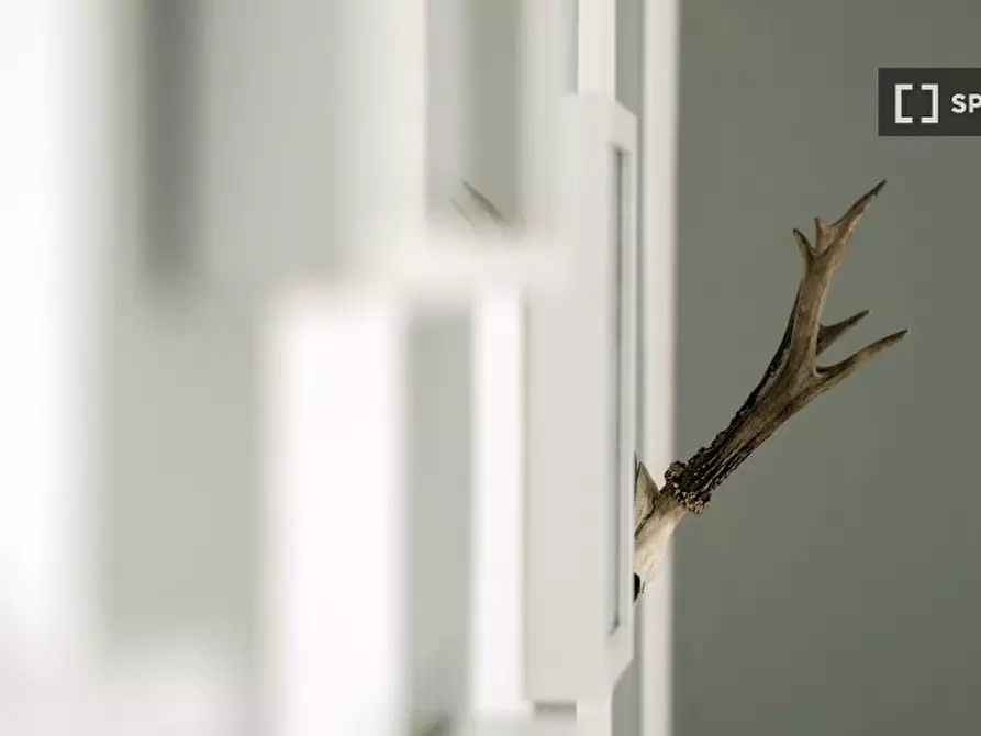 Immagine 3 di Appartamento in affitto  in Via Melzo a Milano