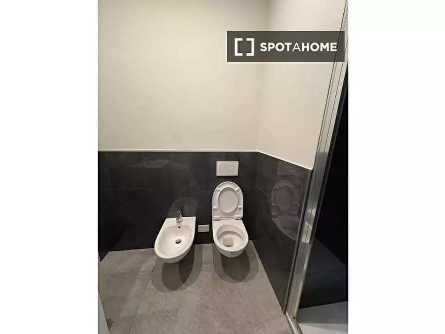 Immagine 8 di Camera condivisa in affitto  in Via Giannotto Bastianelli a Firenze