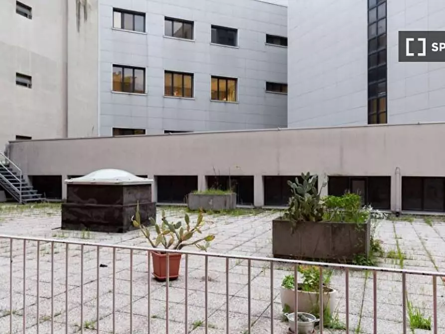 Immagine 13 di Camera condivisa in affitto  in Via Cairoli a Bologna