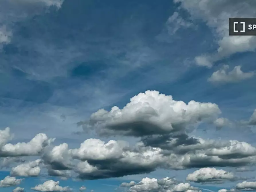 Immagine 6 di Appartamento in affitto  in Via Paolo Sacchi a Torino