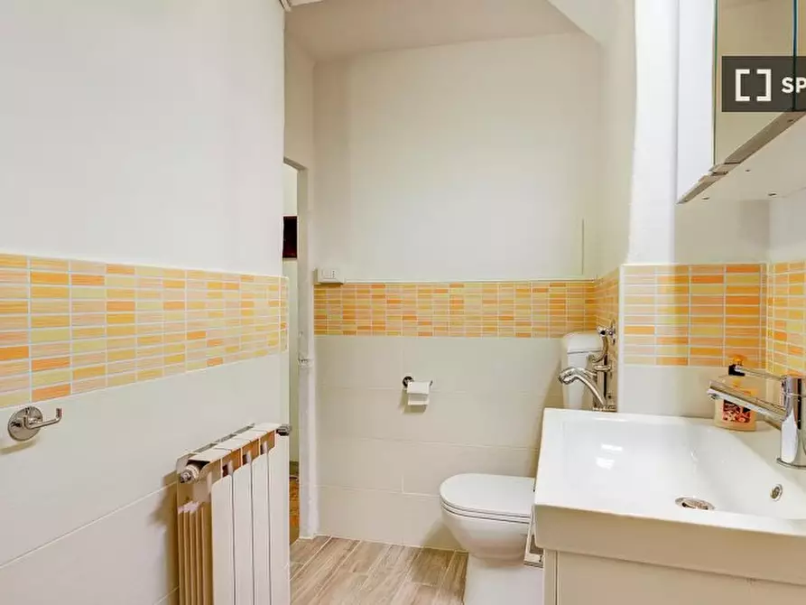 Immagine 12 di Camera condivisa in affitto  in Via delle Brache a Firenze