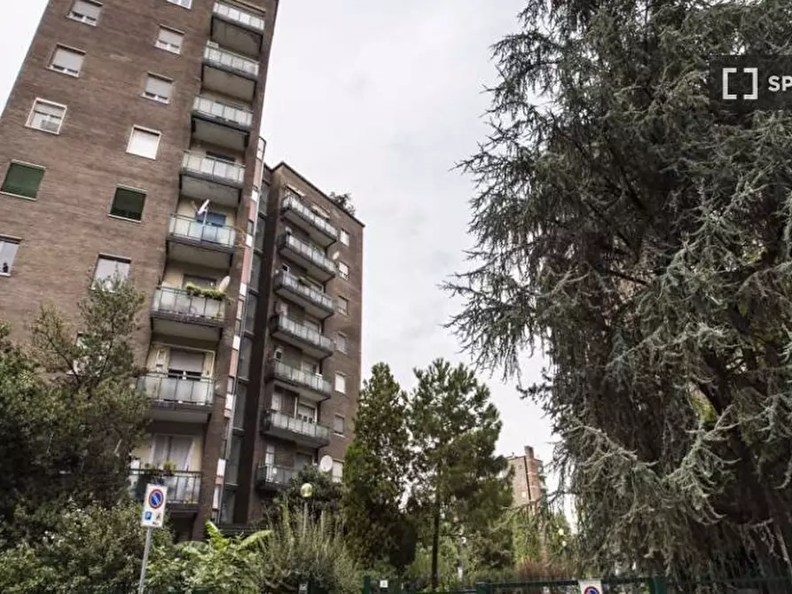 Immagine 15 di Camera condivisa in affitto  in Via delle Acacie Milan a Buccinasco