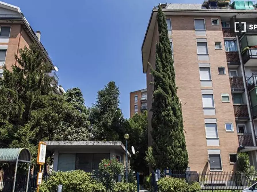 Immagine 17 di Camera condivisa in affitto  in Via dei Mandorli Milan a Buccinasco