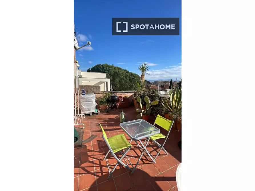 Immagine 4 di Camera condivisa in affitto  in Via Giulia di Gallese a Roma