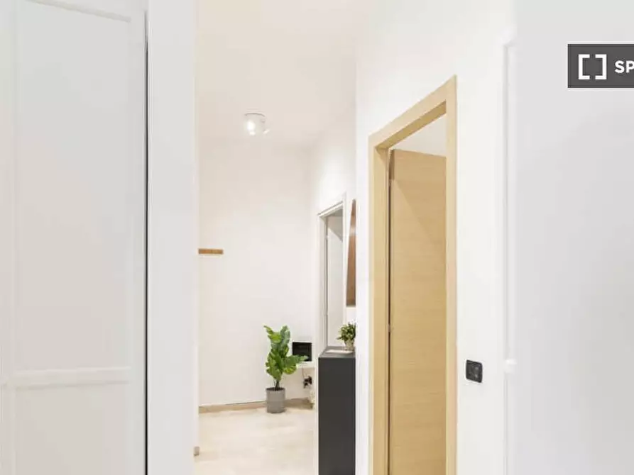 Immagine 14 di Camera condivisa in affitto  in Via Amatore Sciesa a Milano