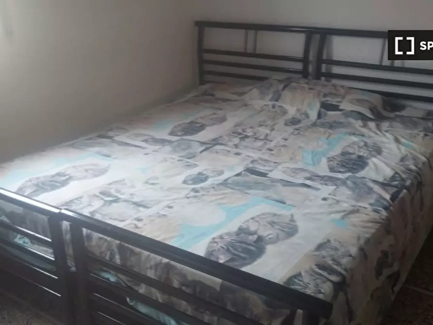 Immagine 4 di Camera condivisa in affitto  in Via Jacopo di Paolo a Bologna