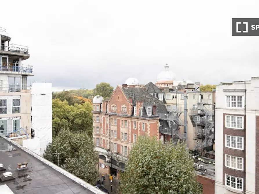 Immagine 6 di Appartamento in affitto  in Queensway a Paddington