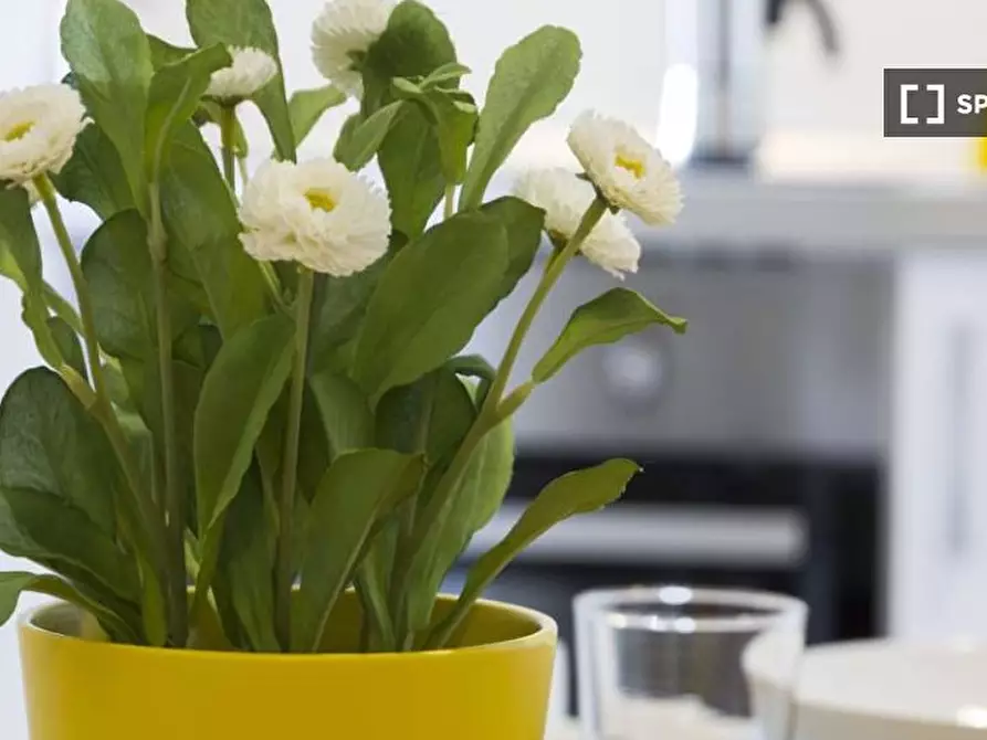 Immagine 15 di Camera condivisa in affitto  in Via Salvatore Barzilai a Milano