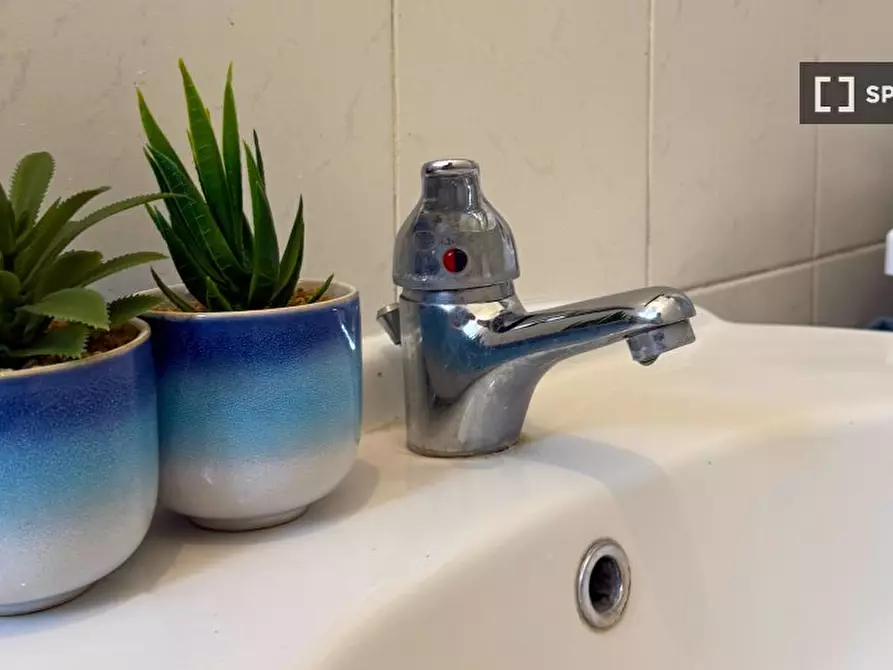 Immagine 14 di Camera condivisa in affitto  in Via Carlo Castelnuovo Delle Lanze a Torino