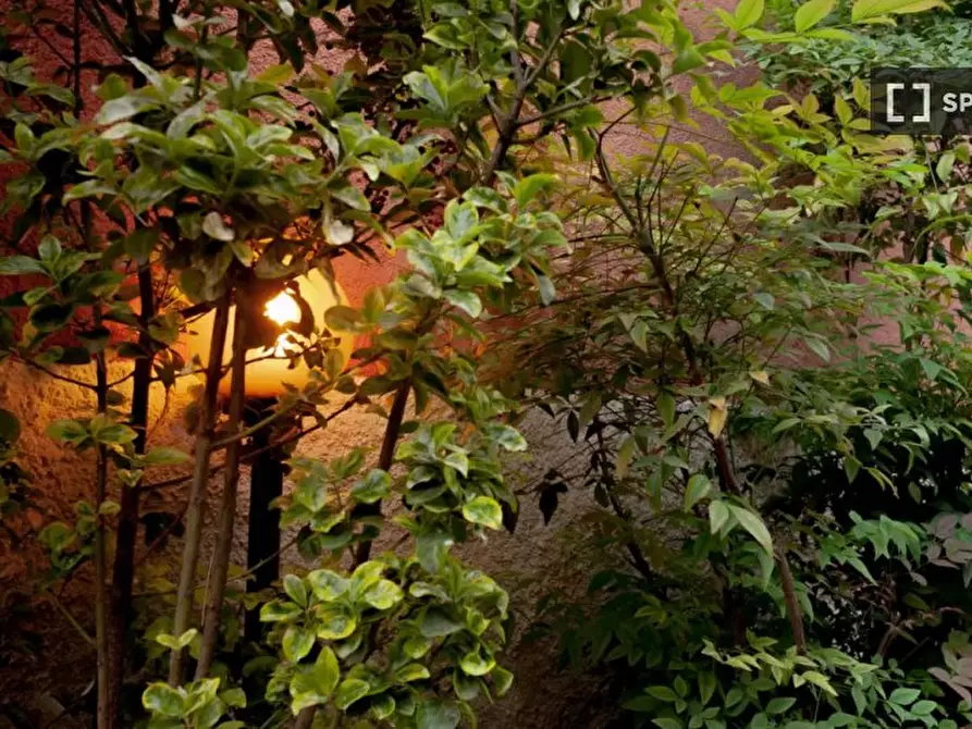 Immagine 8 di Appartamento in affitto  in Via Privata Riccardo Galli a Milano