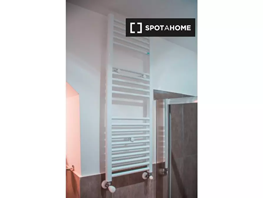 Immagine 8 di Camera condivisa in affitto  in Via Alfonso Bonafous a Torino