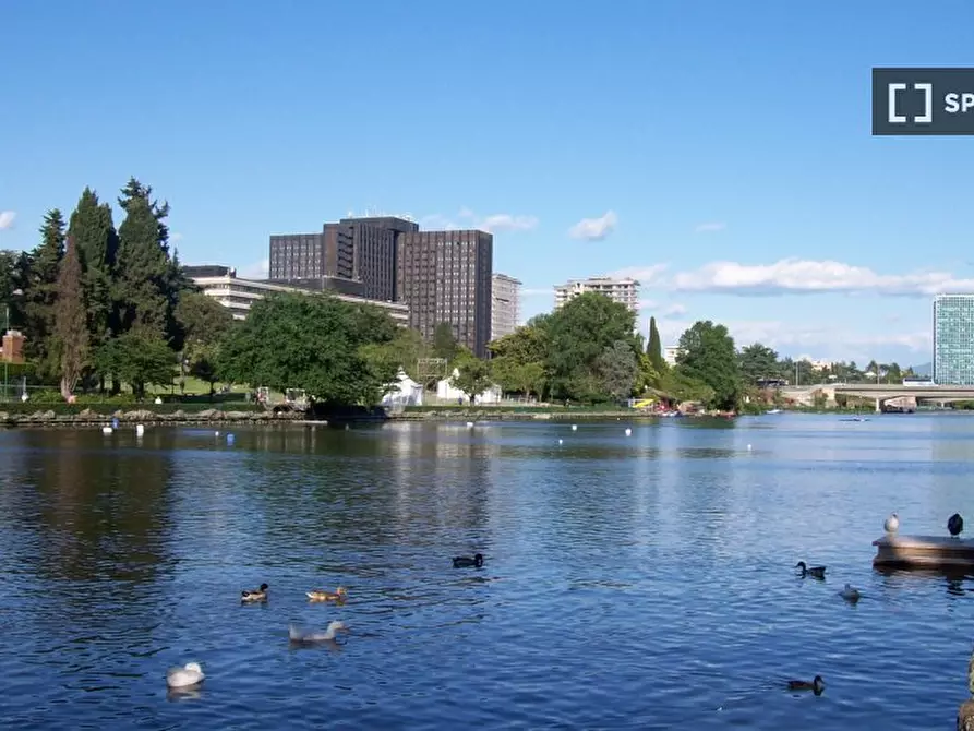 Immagine 5 di Ufficio in affitto  in Via Ildebrando Vivanti a Roma