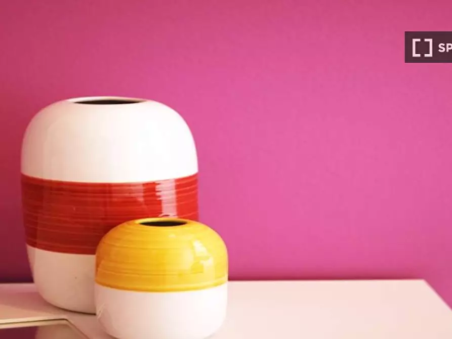 Immagine 15 di Camera condivisa in affitto  in Viale Abruzzi a Milano