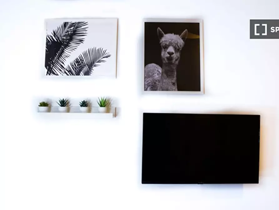 Immagine 3 di Camera condivisa in affitto  in Via Francesco Melzi d'Eril a Milano