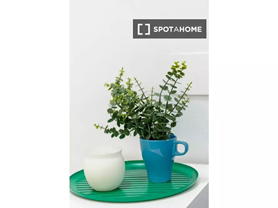 Immagine 2 di Camera condivisa in affitto  in Via Romolo Gessi a Torino