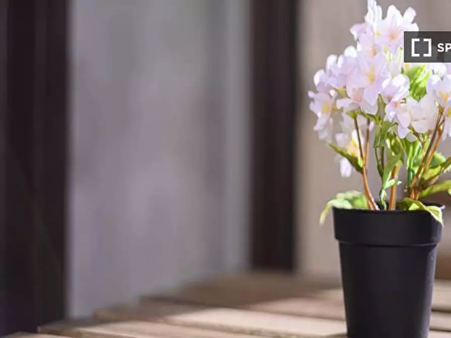 Immagine 9 di Camera condivisa in affitto  in Piazzetta Guastalla a Milano