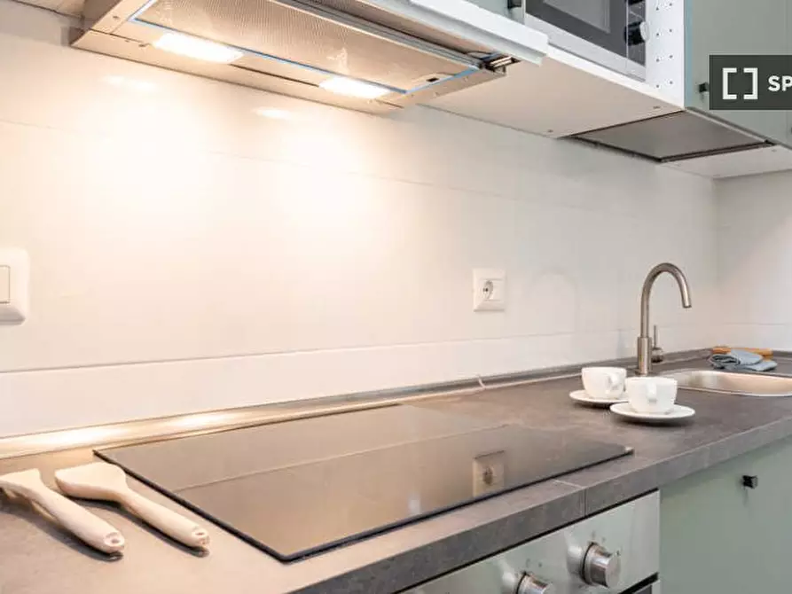 Immagine 17 di Camera condivisa in affitto  in Via Carlo Alberto Pisani Dossi a Milano