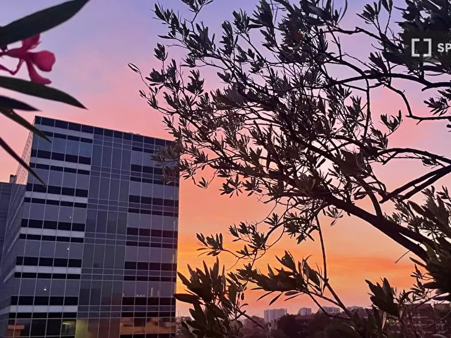 Immagine 2 di Appartamento in affitto  in Via Ulisse Salis a Milano