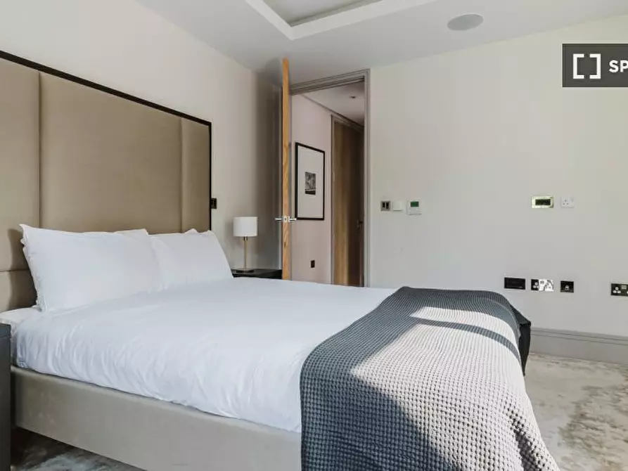 Immagine 11 di Appartamento in affitto  in Cecil Grv a Paddington