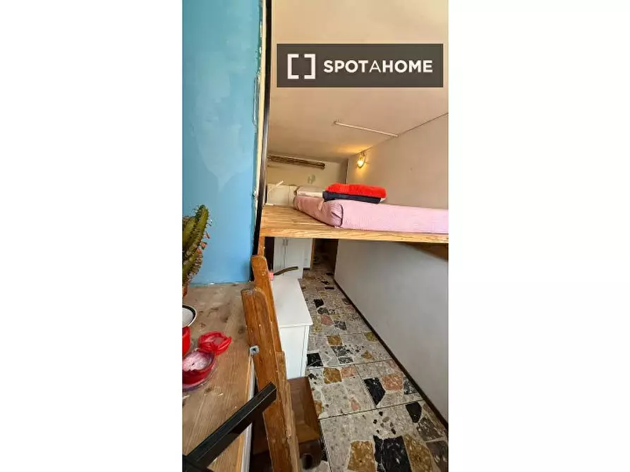 Immagine 5 di Camera condivisa in affitto  in Via Bartolomeo Perestrello a Roma