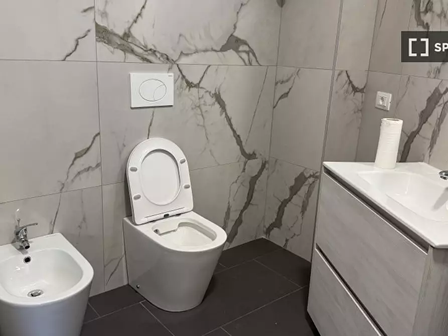 Immagine 12 di Appartamento in affitto  in Corso Alessandro Tassoni a Torino