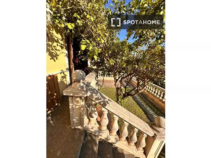 Immagine 6 di Appartamento in affitto  in Via Trionfale a Roma