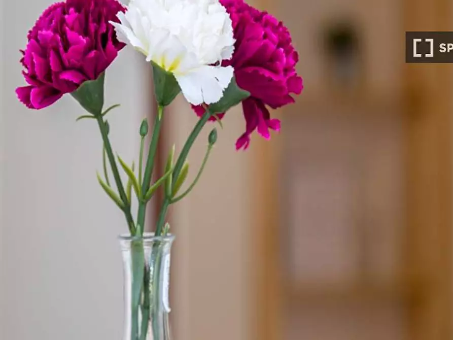 Immagine 16 di Camera condivisa in affitto  in Via Dei Mandorli Milan a Buccinasco