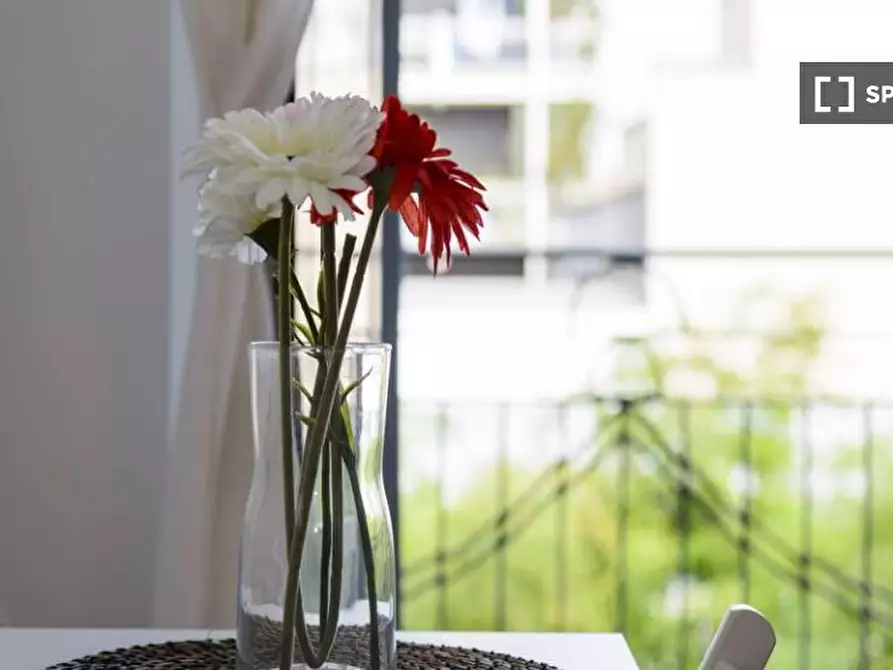 Immagine 12 di Camera condivisa in affitto  in VIA ANNIBALE GRASSELLI a Milano