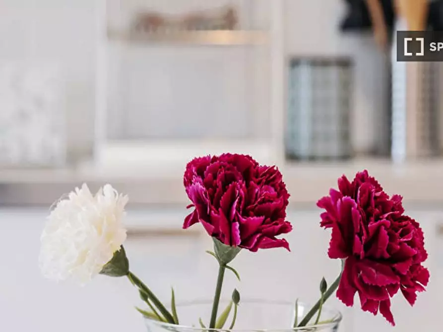 Immagine 16 di Camera condivisa in affitto  in Via delle Belle Arti a Bologna