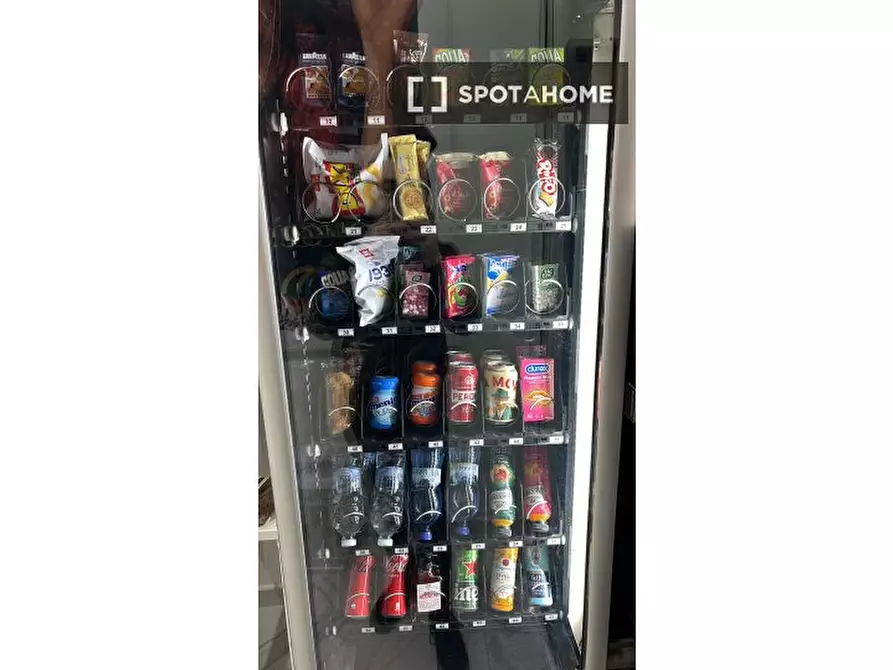 Immagine 12 di Camera condivisa in affitto  in Via Mario Greppi a San Donato Milanese