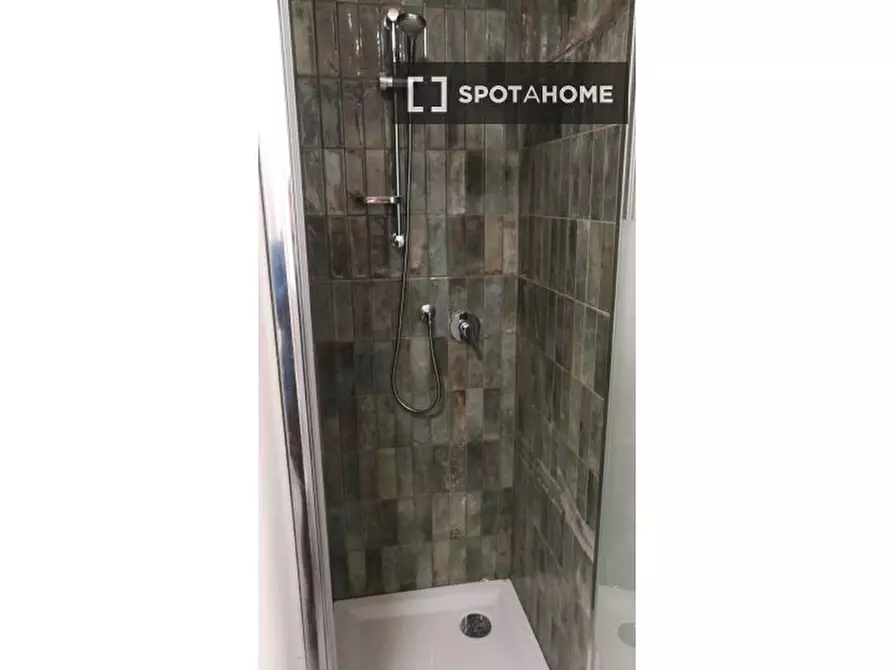 Immagine 13 di Camera condivisa in affitto  in Via Pietro Giuria a Torino