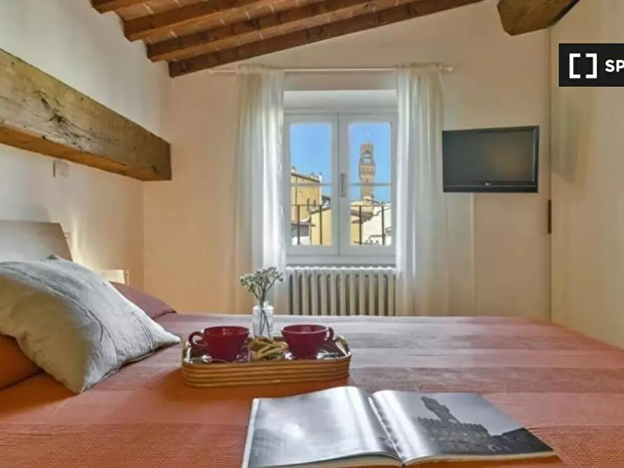Immagine 11 di Appartamento in affitto  in Via delle Terme a Firenze
