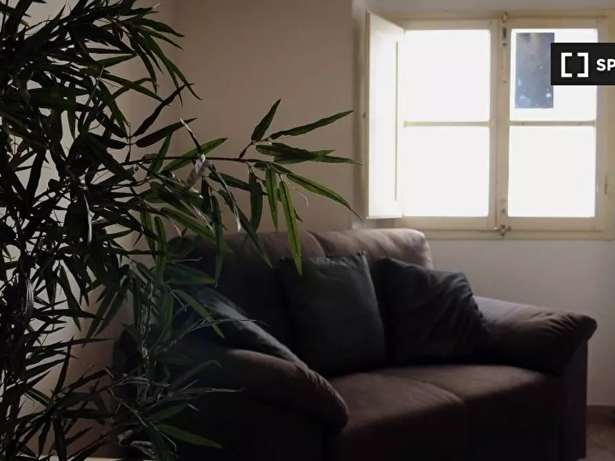 Immagine 7 di Appartamento in affitto  in Lungarno Amerigo Vespucci a Firenze