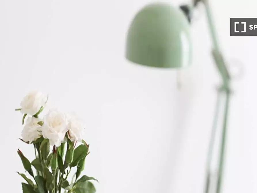 Immagine 19 di Camera condivisa in affitto  in Viale Romagna a Milano