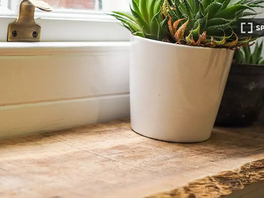 Immagine 6 di Appartamento in affitto  in Regency St a 