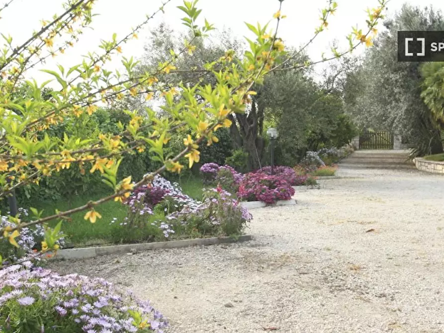 Immagine 9 di Appartamento in affitto  in Via Maria SS. di Quintiliolo a Tivoli