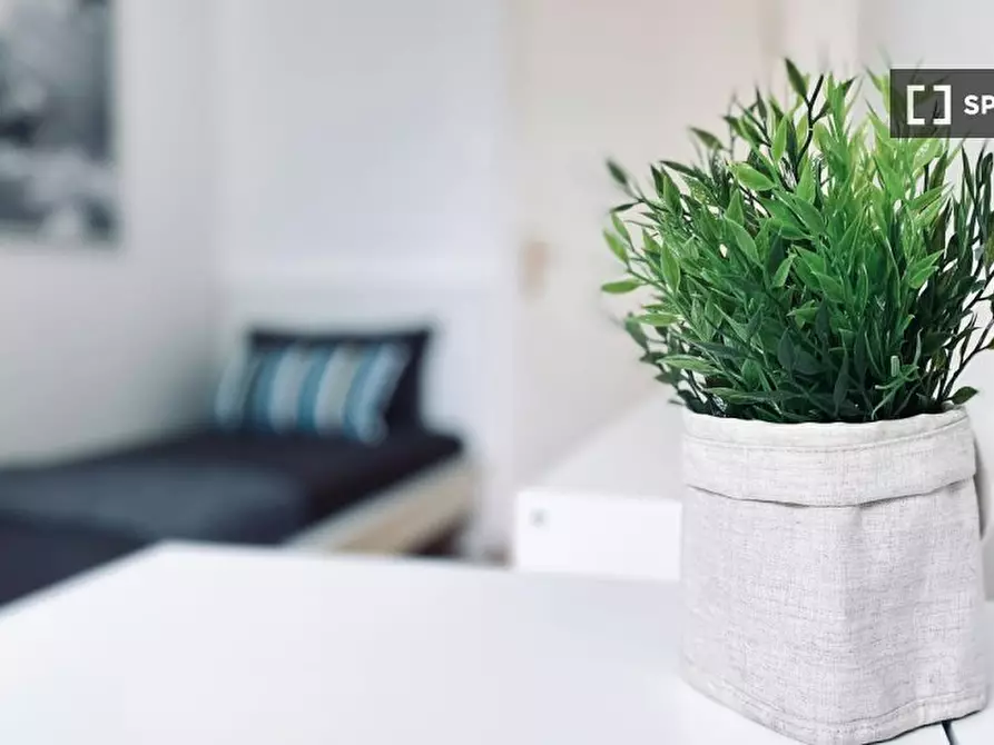 Immagine 18 di Camera condivisa in affitto  in Via Matteotti a Trento