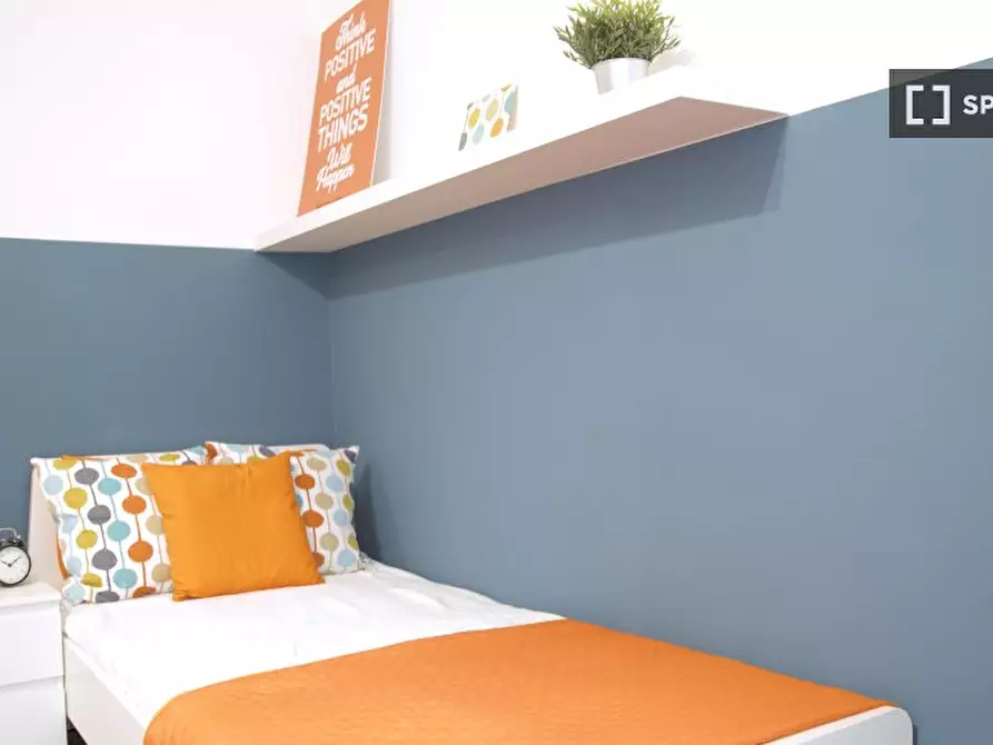 Immagine 15 di Camera condivisa in affitto  in Maggiore a Bologna