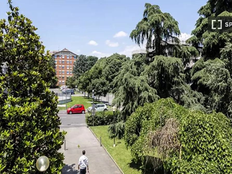 Immagine 13 di Camera condivisa in affitto  in Via Dalmazia a Milano