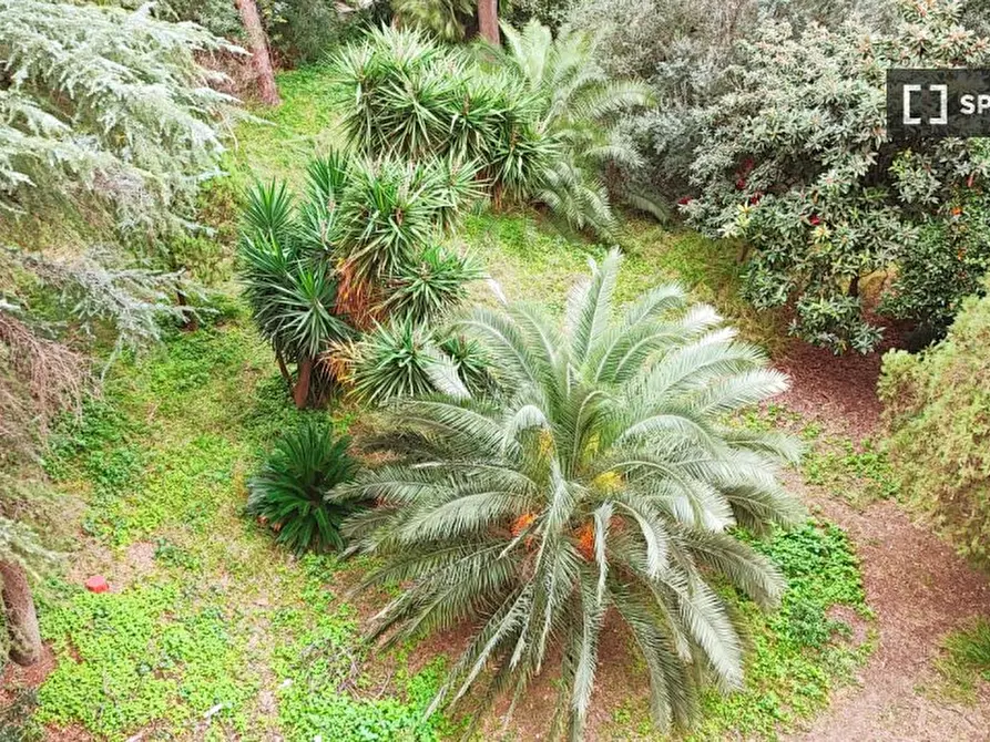 Immagine 18 di Appartamento in affitto  in Via Sergio I a Roma